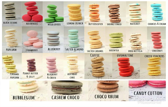 macaroon3